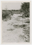 American soldiers view mass graves near Muehldorf.