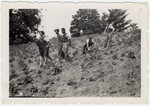Young Jewish men pull a plow through a potato field at the La Ramee agricultural school.