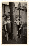 Sonia Pressman (far right with bangs), a German-Jewish refugee from Nazi Germany, with other kindergarten children in Antwerp, Belgium, in March 1934.
