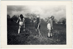 Dory Vulknan, Minni, and Ruth Rappaport, members of a Zionist youth movement, work in farm fields in Elgg, Switzerland.