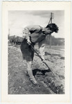 Teddy Browar digs in the earth in Elgg, Switzerland.