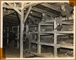 Survivors sit in multi-tiered bunks in a barracks in the newly liberated Buchenwald concentration camp.