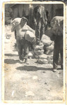 Jonas Eckstein hauls two bags of cement in a labor camp in Slovakia.