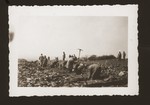 Germans are forced to prepare graves for the victims of Ohrdruf.
