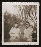 Three friends of the donor from Dabrowa pose in Zeilsheim DP camp.