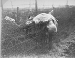 The corpse of a prisoner lies on the barbed wire fence in Leipzig-Thekla, a sub-camp of Buchenwald.