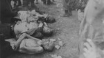 The corpse of a camp guard who was killed by survivors lies between those of prisoners who died in Ohrdruf