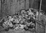 The bodies of prisoners lie stacked in a shed in the Ohrdruf concentration camp.
