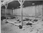 The interior of a barracks in the newly liberated Ohrdruf concentration camp.