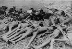 Corpses awaiting burial in Leipzig-Thekla, a sub-camp of Buchenwald.
