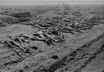 Corpses exhumed from a mass grave in Ploemnitz ("Leau" after 28 October 1944), a sub-camp of Buchenwald.