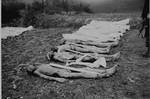 The corpses of prisoners killed in Ohrdruf awaiting burial.
