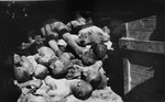 Prisoners' corpses piled in a shed.