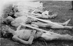 The corpses of prisoners killed in Ohrdruf awaiting burial.