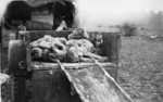 The corpses of prisoners killed at Ohrdruf in a wagon awaiting burial in a mass grave.