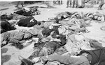 The corpses of prisoners who were machine-gunned by the SS prior to the evacuation of Ohrdruf.