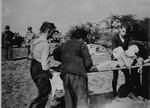 German civilians from a nearby town load corpses onto a cart for transportation to a mass grave.