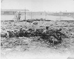 Two American soldiers inspect charred corpses in Leipzig-Thekla, a sub-camp of Buchenwald.