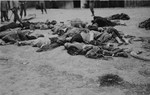 The corpses of prisoners machine-gunned by SS guards just prior to evacuation of the camp.