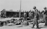 American soldiers view the bodies of prisoners that lie strewn along the road in the newly liberated Ohrdruf concentration camp.
