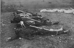 Corpses awaiting burial.