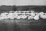 Corpses from the Ohrdruf concentration camp awaiting burial.