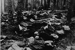 Corpses, some of which had lain unburied for weeks, prepared for burial by German civilians.