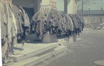 Prisoners' clothing and uniforms hang outside the crematorium in the newly liberated Dachau concentration camp.
