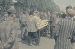 Loaves of bread are distributed to survivors in the newly liberated Dachau concentration camp.