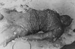 The charred corpse of a woman after the razing of the Kovno ghetto.
