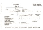 Family tree illustrating the transmission of musical genius through several generations of the family of Johann Sebastian Bach, taken from a set of slides produced to illustrate a lecture by Dr.