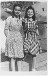 Anna Brunn and her friend Lili Gluck stand next to a fence.