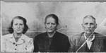Portrait of Mordechai Levi, his wife, Hana, and his daugheter, Arnesta.