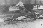 Two Romani men collect bodies unloaded from the Iasi-Calarasi death train during a stop in Targu-Frumos.