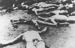 The bodies of Jews who died on the Iasi-Calarasi death train litter the ground where the train stopped at Targu-Frumos.