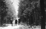 Three Jewish partisans in Wyszkow forest near Warsaw.