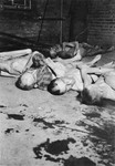 Corpses lie on the ground outside the crematorium in the newly liberated Mauthausen concentration camp.