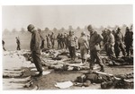 American soldiers view the bodies of prisoners laid out in rows in an open field in the Ohrdruf concentration camp.