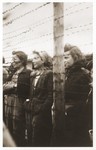 Young female survivors look out from behind the barbed wire fence enclosing the women's camp at Mauthausen.