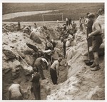 Austrian civilians dig a mass grave in the former SS soccer field in the Mauthausen concentration camp to bury the bodies of former inmates.
