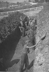 Austrian civilians prepare a mass grave for the bodies of former inmates at the Gusen concentration camp.