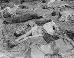 The bodies of prisoners shot by SS guards in Gunskirchen prior to the liberation of the camp by American soldiers.