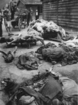 Survivors remove corpses from the grounds of the Gusen concentration camp.