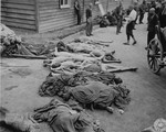 Survivors and piles of corpses in Gusen after liberation.