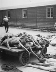 Prisoners' corpses are stacked on a cart in Gusen after liberation.