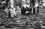 Austrian civilians, survivors, and medical personnel examine prisoners' corpses exhumed at Gunskirchen.