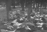 The bodies of executed prisoners in Gunskirchen.