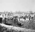 Austrian civilians prepare a mass grave to bury former inmates in the Gusen concentration camp, while a bulldozer levels the ground over an already filled grave.