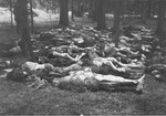 The bodies of executed prisoners in the Gunskirchen concentration camp.