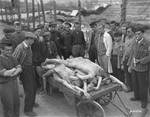 Newly liberated prisoners in the Ebensee concentration camp stand outside around a cart loaded with corpses.